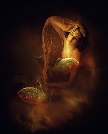 012-quality-photo-manipulations-miraccoon