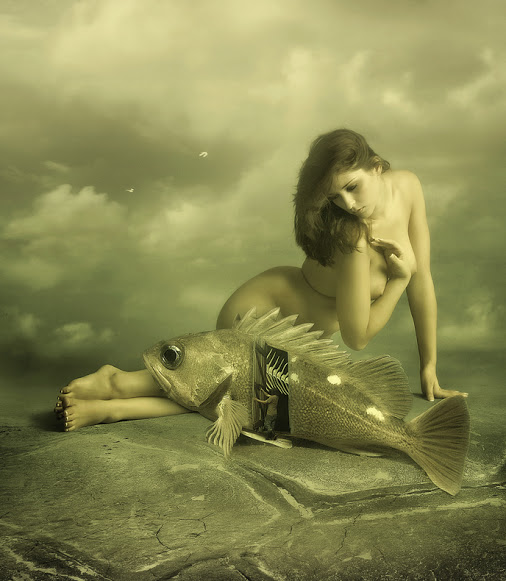 catch_by_miraccoon-d4wku3d