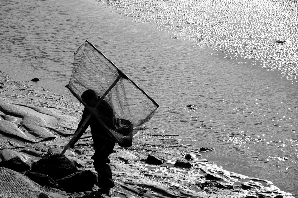 pcheur-87c31daa-c687-4c8a-b364-58361609eeeb