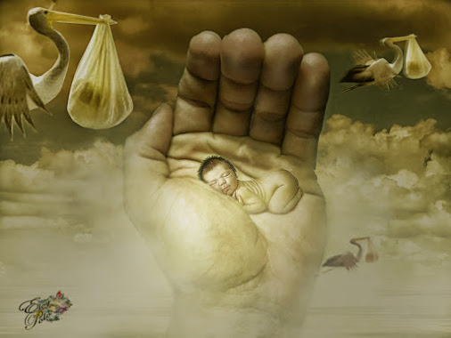 gomarota ©EPolo2016