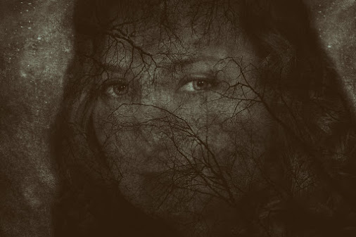 DSC_2596_193_pp COL 1200