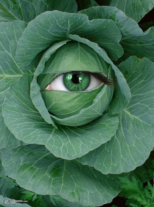 a4d1ea7b5ea0c0fc662e43674ceda22f