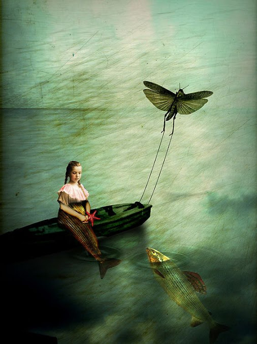 fddfc1b2fe83ca36edad2bd49ac15c66