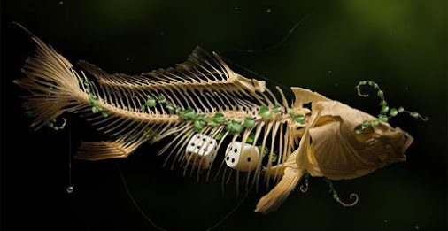 Jaime Sanjuan-LUKISAN-DIGITAL-dari-Tablet-Ikan--680x350