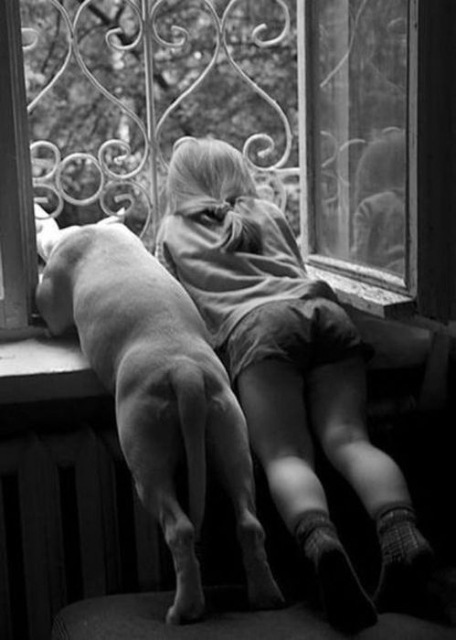 0c2fd949-9478-408a-b47d-27ea833d3401