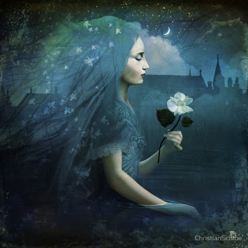 christian-schloe-kwiat-pc3b3c582nocy