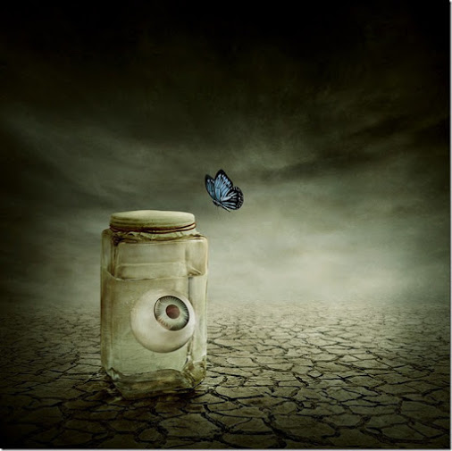 who-is-the-observer_thumb