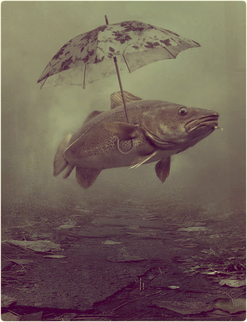 sunday_stroll_by_beyzayildirim77-da8dp7m