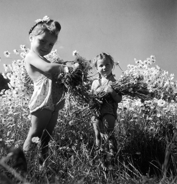 9eaf08ce424bb6dc0766c9a185e794f3