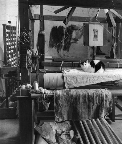 e4e454842a7dd2f72fd194632c92467d