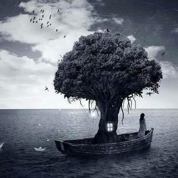 13015426_1542657189362770_7211705937108637995_n