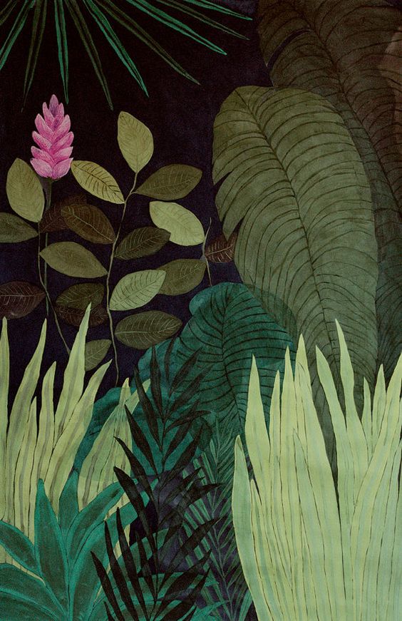 a55f5394324b113ab4b95b577e853809