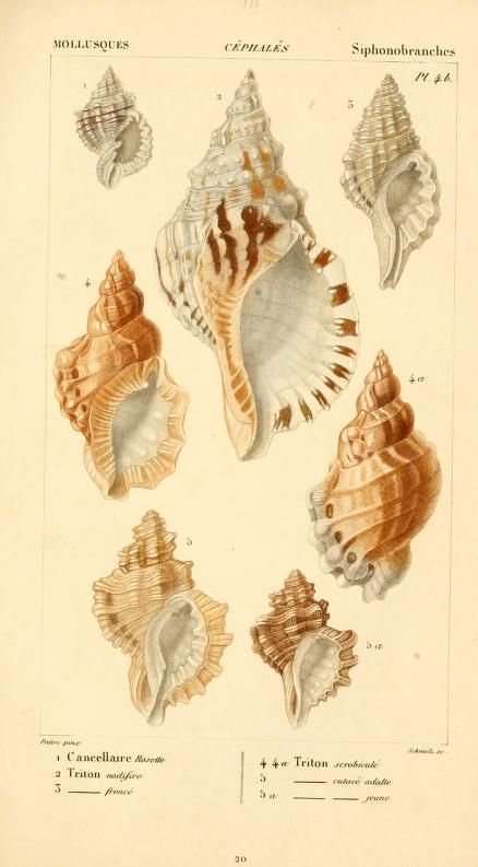 bf7c06adbddd09af4811cd291347ba93