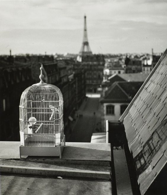 88b4add8a43dfe02a16b71be382085a7