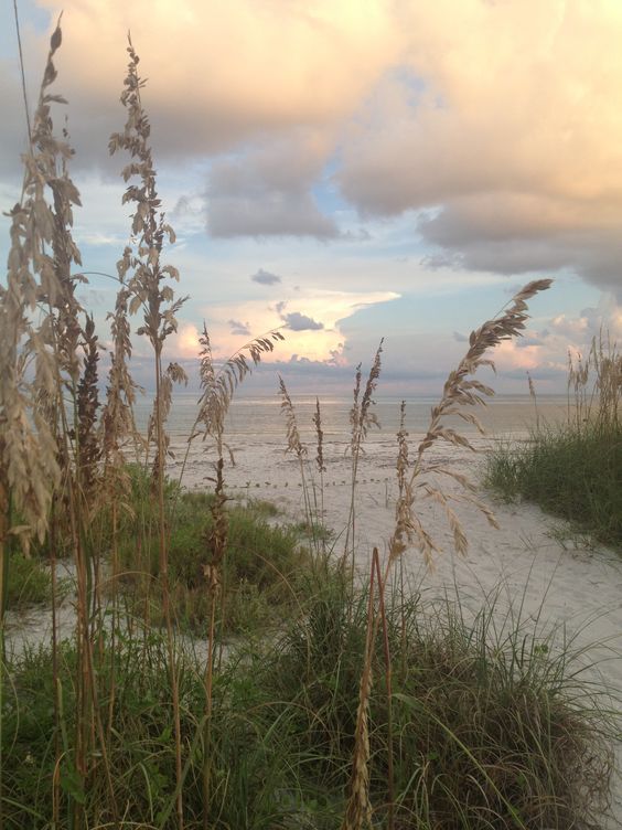 f8efb7e28d7287f185cbf67b465e4641