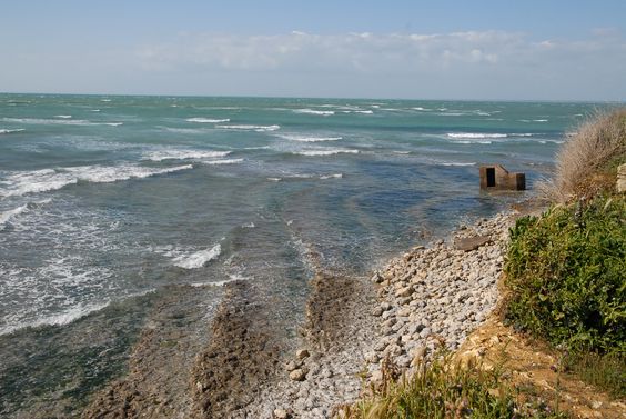 09555ecb2b3947f1025878e7a1c1b4fc