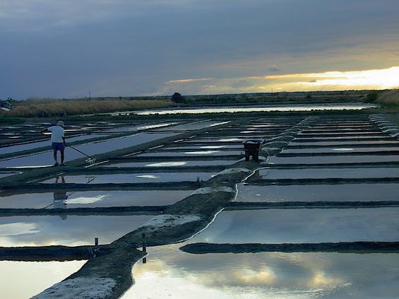 15c2ef76b85855a468c3b082aa3d0a6b