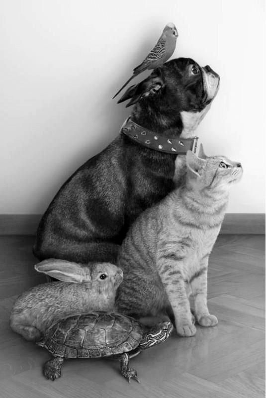 b72d111cd1d30e102f86d49ba1d7b53b