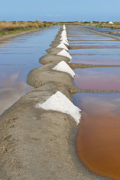 deb278be67761ba341634f77232f4bec