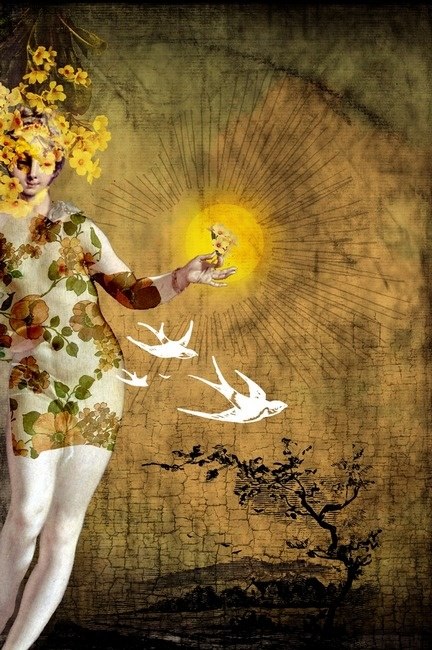 11540883_922623694461099_8262083863518152176_n