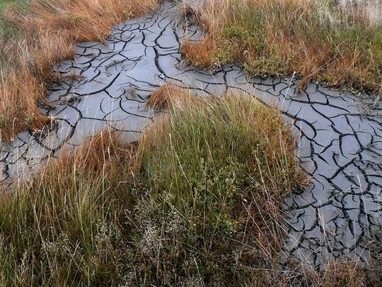 16532512_11833685_46935090