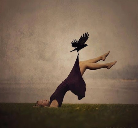 © Frida Bringslimark