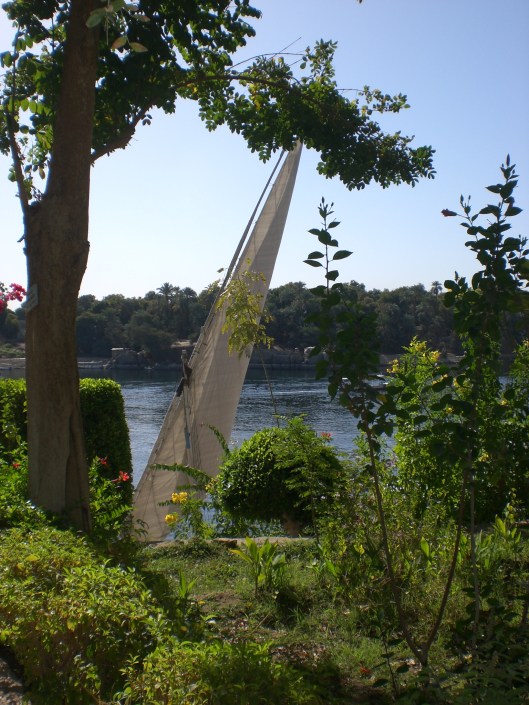 EGYPTE FÃ©vrier 2009 123