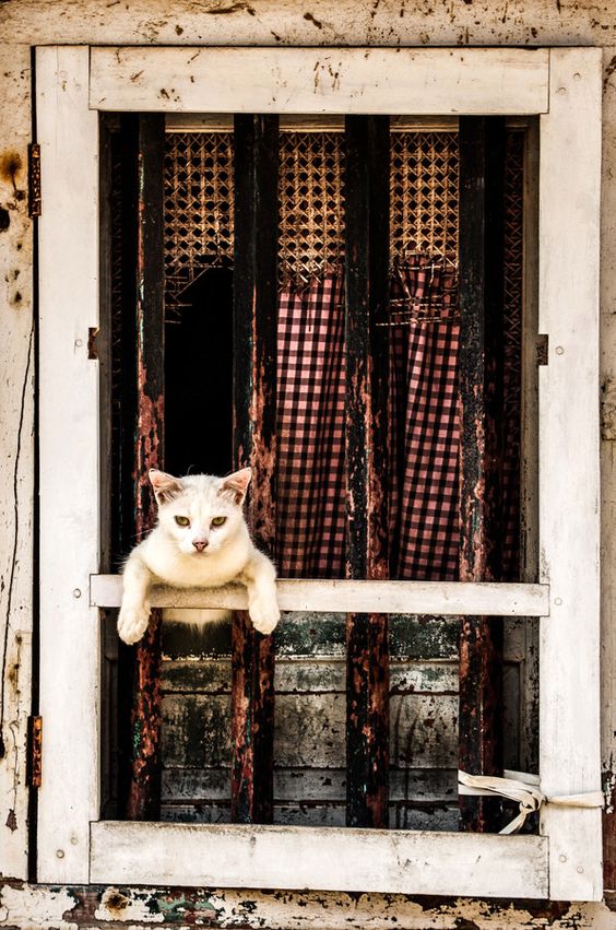 ddcbba80590b1278189559d4f5336f50