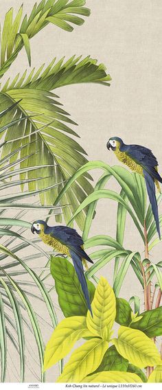 a80298f557baffcfa86bc05958d117f1