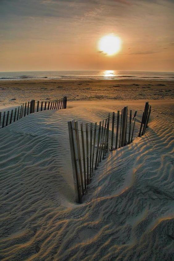 14f902257a8e0ecdf491b66340696850