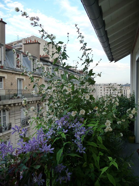 35ddbe8e89b369c8e7335c5c1cf9d5f8