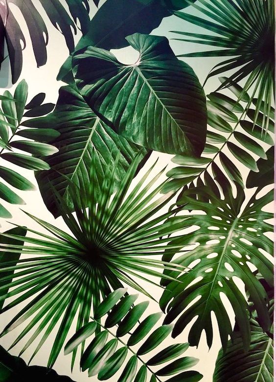 16aec52a41ca105256edd6761bbf9a5d