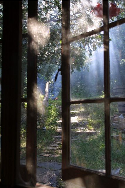 3f173650204df76c1cd00118599b8c13