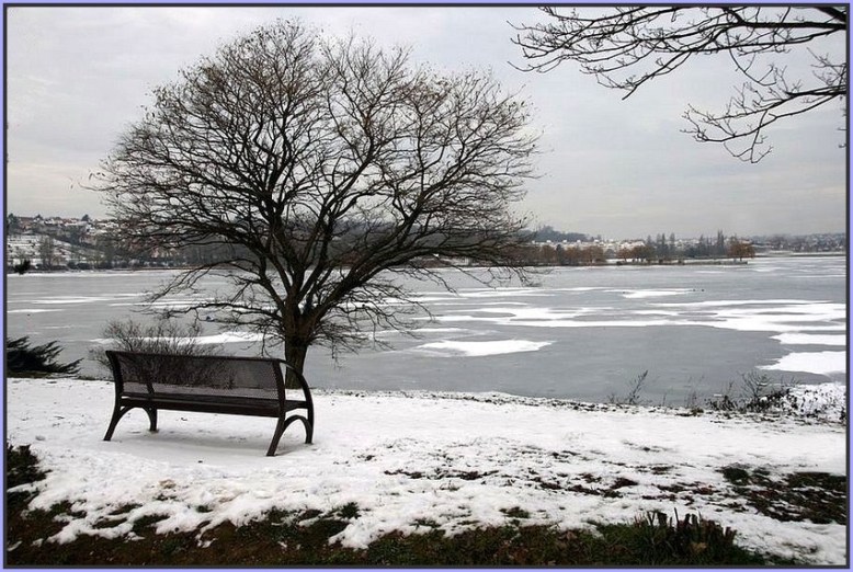 labsence-62161360-a8dc-4da0-af98-f77ea094517e