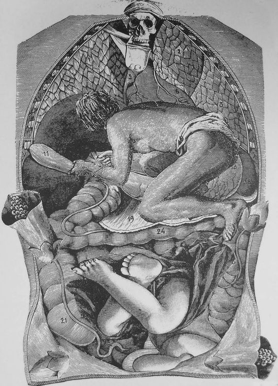 161e25e29ba6c65533221284285722fd