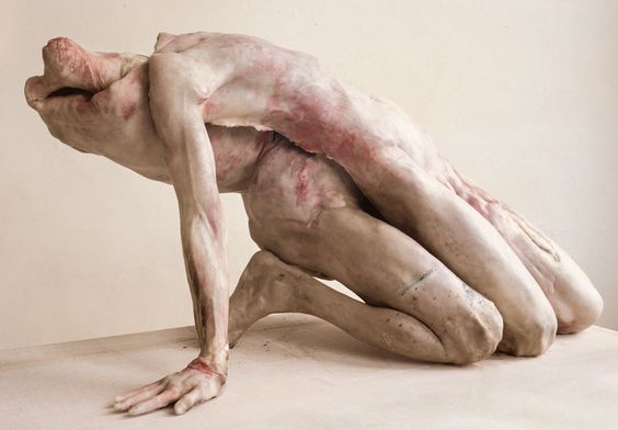 3bded30d464725539682cd781fb18dc3