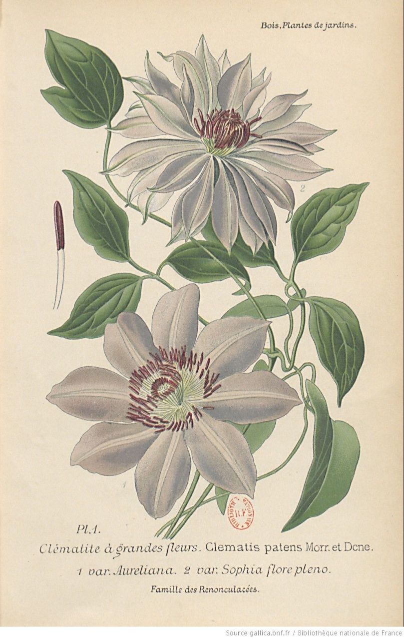 633d813b1ec273ab973c112d50359d26