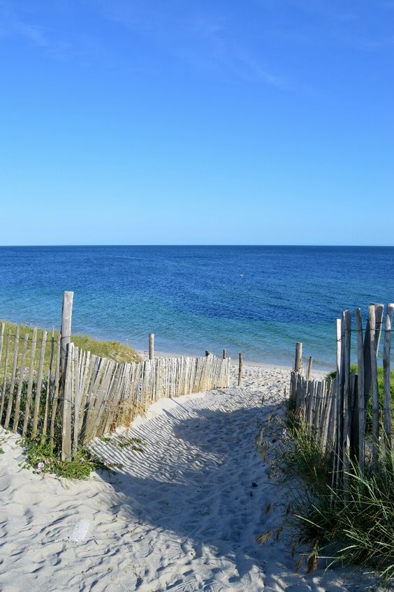 d25abf457e4aca78c7f44a96432cbd33