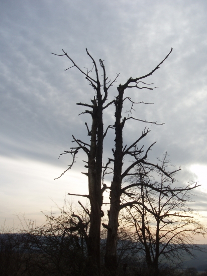 autres-campagne-france-1219685992-1162940