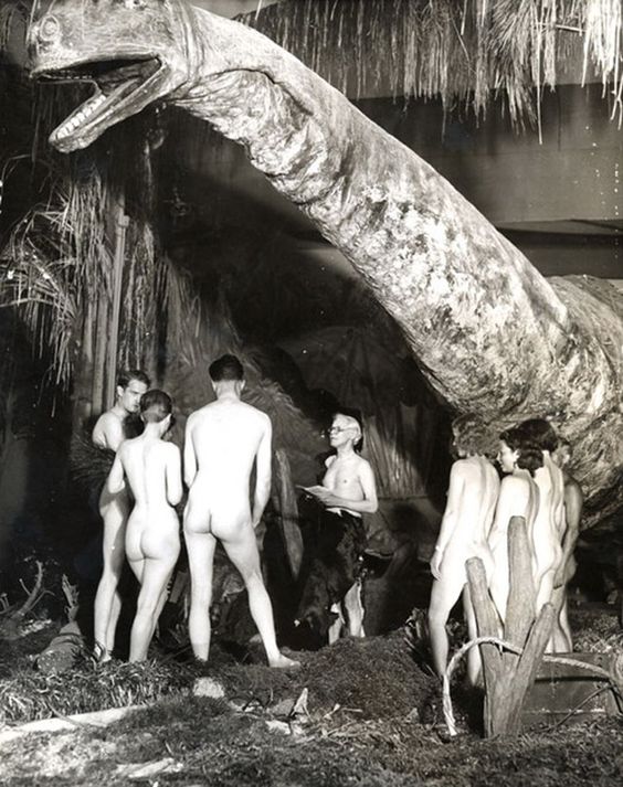 f2c8f21e5007ae3174e3c366c3c9acb2