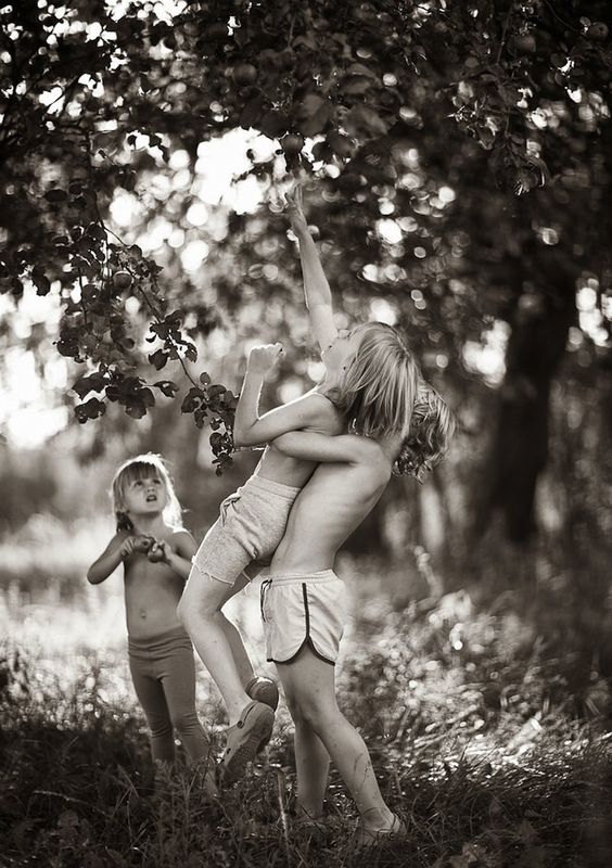 0821b8bd669246a183955ed5ff9da61e