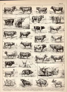 09a0607a69c510abf1e0925f21bae2be