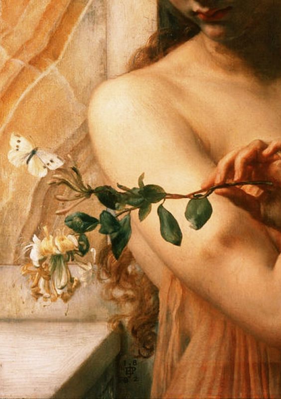 19faddd7fc68def040169fae617a6ab9