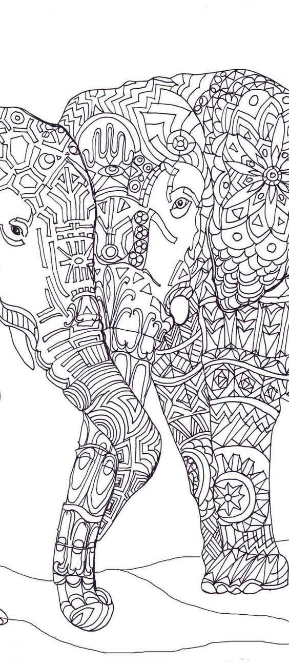 e6a0972d204e302fec4977eb81da8fd0