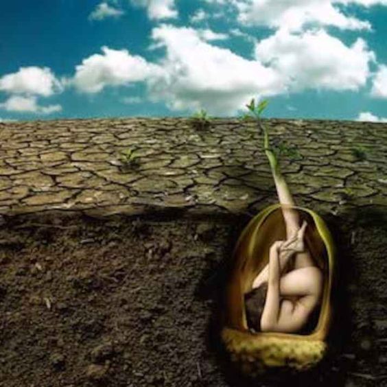 3facfcd67572f7892a6e9d46e0ad5611