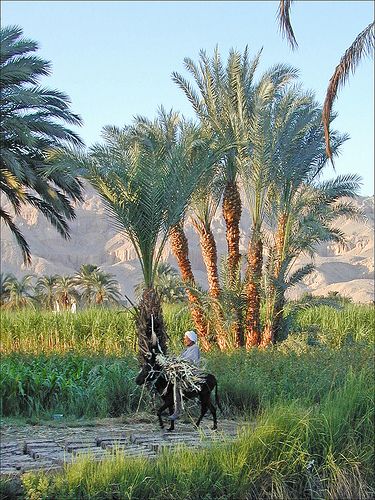 099722d8f071b0da30116e4598dcc8ef