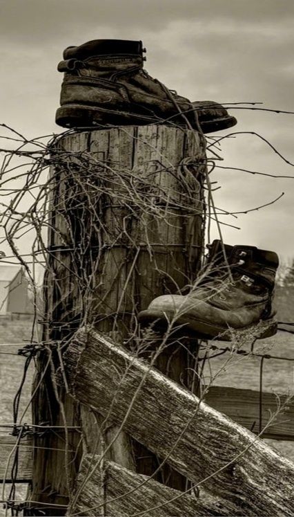 e2caf0b3546452adba7a9c0c9c3e4796