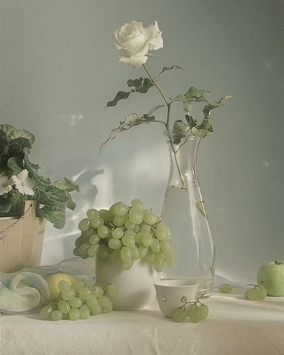 3f4146737e75c44e205eb3686606e2a6