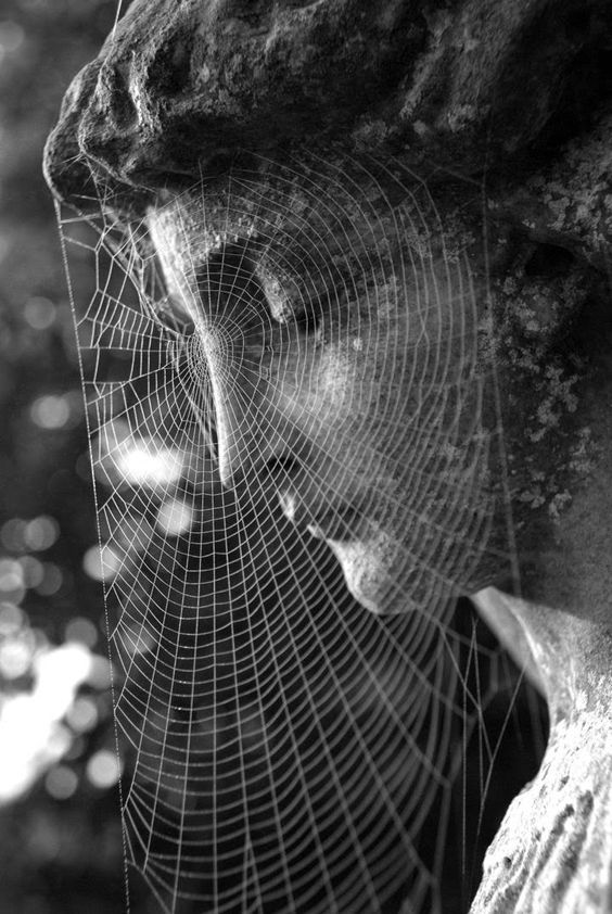 7054f455079843885f2cce1eb5733e45