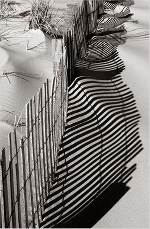 876d8b757948c06fe4d45e38b405de7f